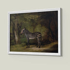Zebra in a Woodland Landscape – by George Stubbs