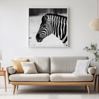 Striped Elegance