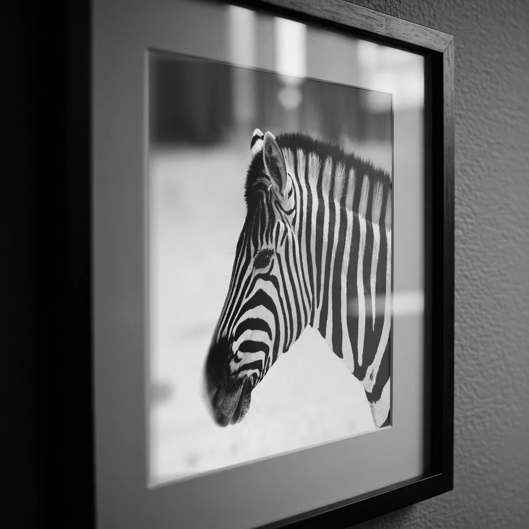 Striped Elegance